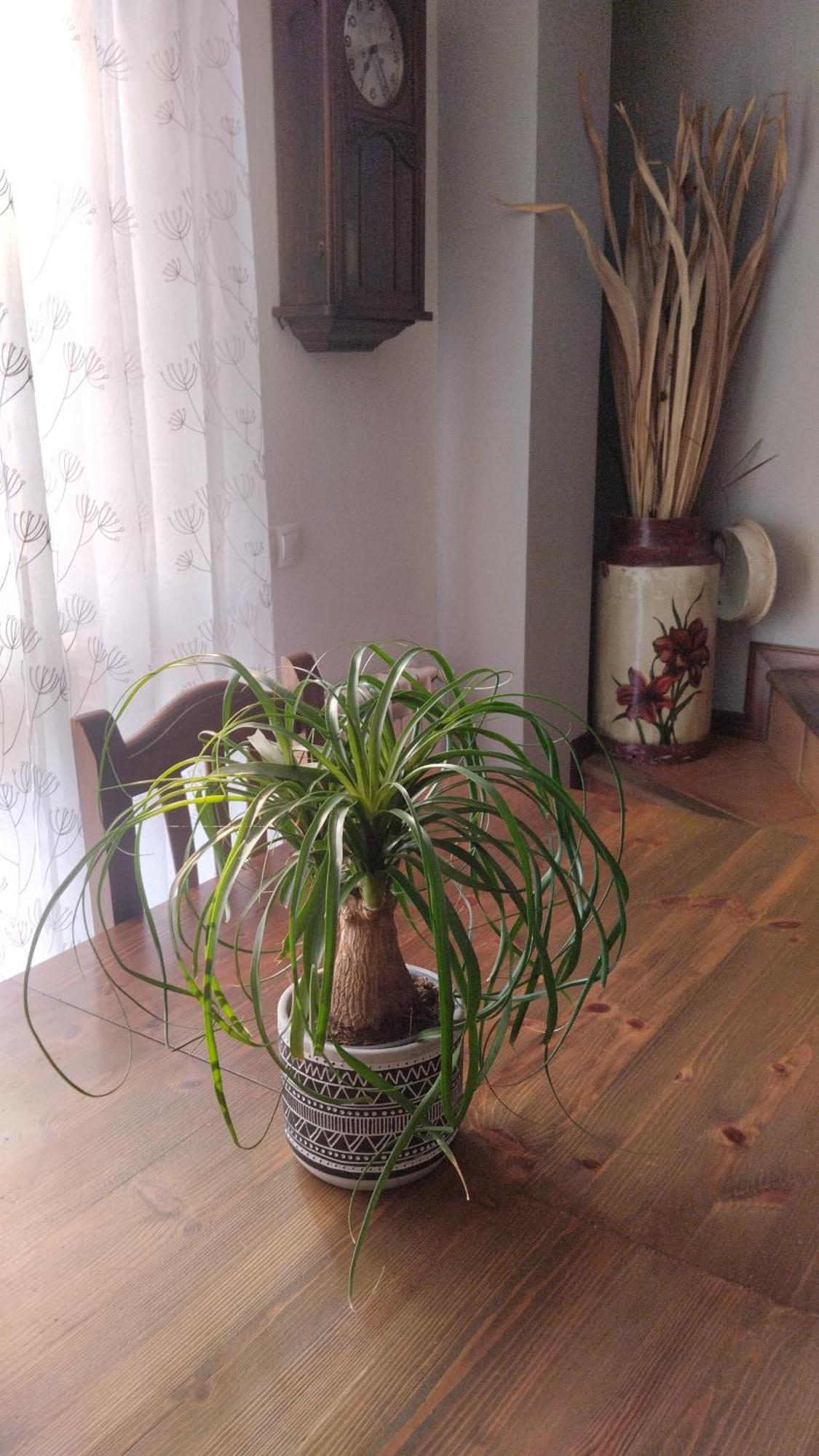 El Balcon De Villapresente Luaran gambar